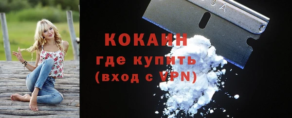 сатива Арсеньев