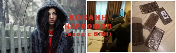 сатива Арсеньев