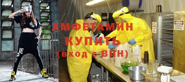сатива Арсеньев