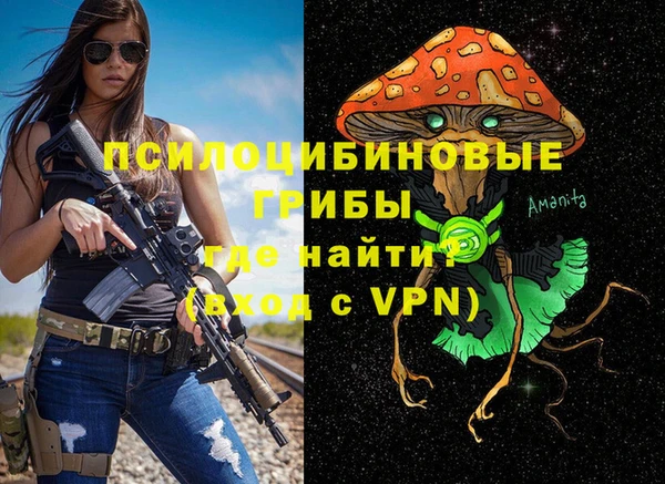 сатива Арсеньев
