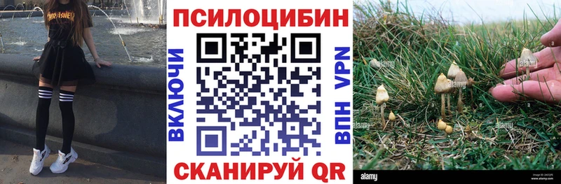 дарк нет телеграм  Покровск  Галлюциногенные грибы мицелий 